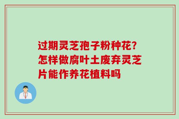 过期灵芝孢子粉种花？怎样做腐叶土废弃灵芝片能作养花植料吗