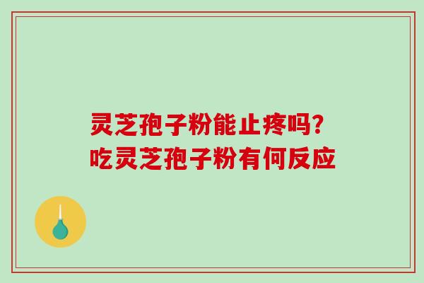 灵芝孢子粉能止疼吗？吃灵芝孢子粉有何反应