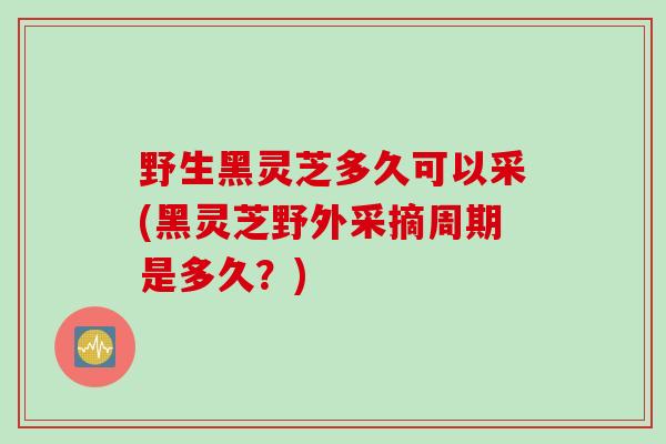 野生黑灵芝多久可以采(黑灵芝野外采摘周期是多久？)