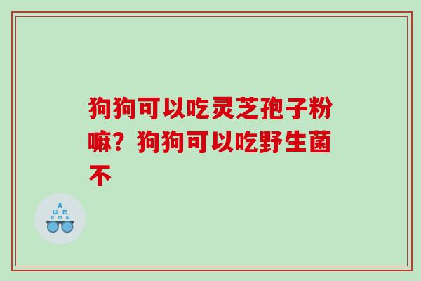狗狗可以吃灵芝孢子粉嘛？狗狗可以吃野生菌不