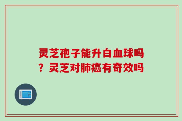 灵芝孢子能升白血球吗？灵芝对肺癌有奇效吗