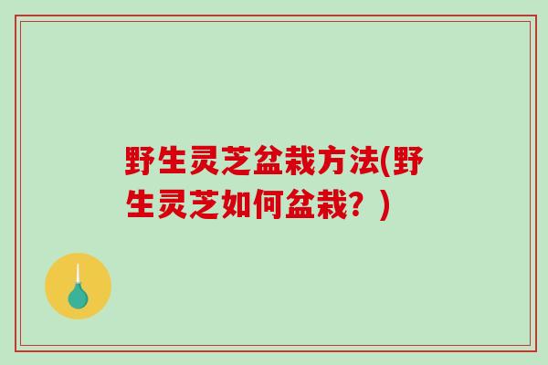 野生灵芝盆栽方法(野生灵芝如何盆栽？)