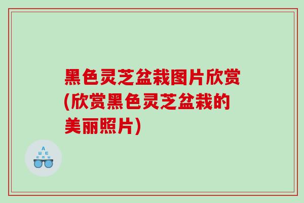黑色灵芝盆栽图片欣赏(欣赏黑色灵芝盆栽的美丽照片)
