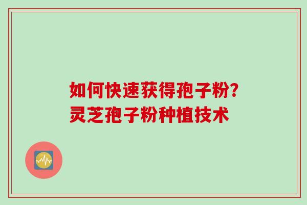 如何快速获得孢子粉？灵芝孢子粉种植技术
