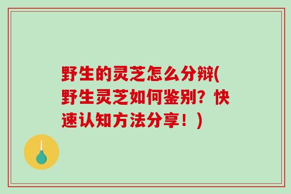 野生的灵芝怎么分辩(野生灵芝如何鉴别？快速认知方法分享！)