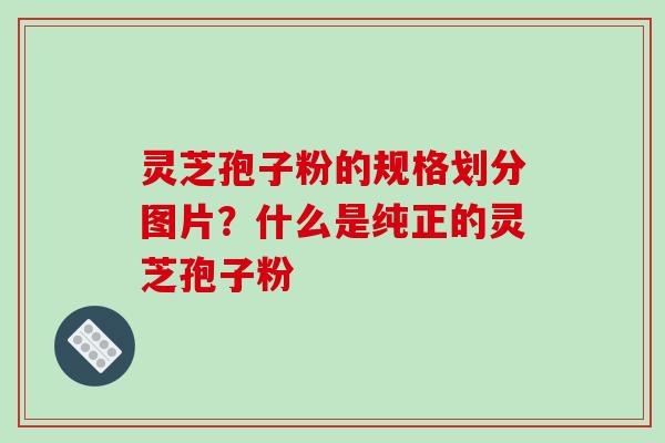 灵芝孢子粉的规格划分图片？什么是纯正的灵芝孢子粉