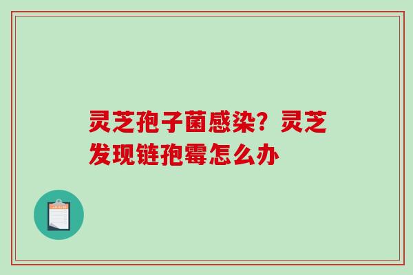 灵芝孢子菌?灵芝发现链孢霉怎么办 灵芝孢子菌?灵芝发现链孢霉怎么办