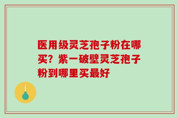 医用级灵芝孢子粉在哪买？紫一破壁灵芝孢子粉到哪里买最好