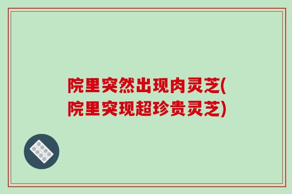院里突然出现肉灵芝(院里突现超珍贵灵芝)