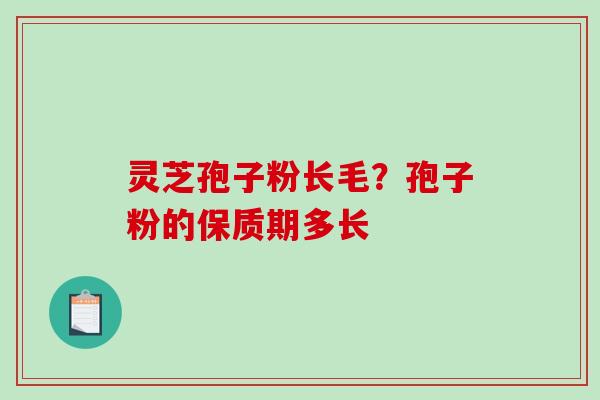 灵芝孢子粉长毛？孢子粉的保质期多长