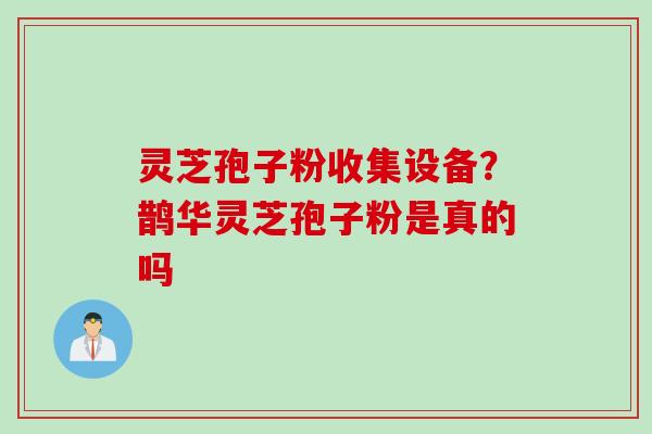 灵芝孢子粉收集设备？鹊华灵芝孢子粉是真的吗