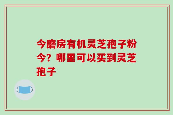 今磨房有机灵芝孢子粉今？哪里可以买到灵芝孢子