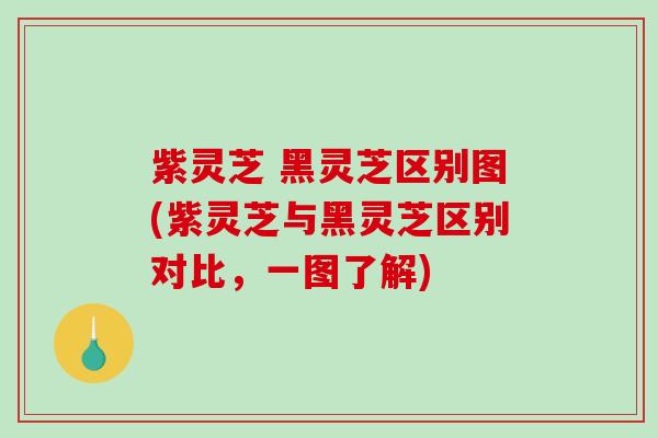紫灵芝 黑灵芝区别图(紫灵芝与黑灵芝区别对比，一图了解)