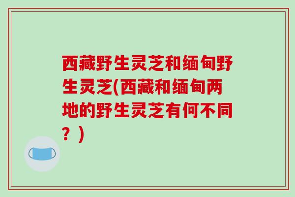 西藏野生灵芝和缅甸野生灵芝(西藏和缅甸两地的野生灵芝有何不同？)