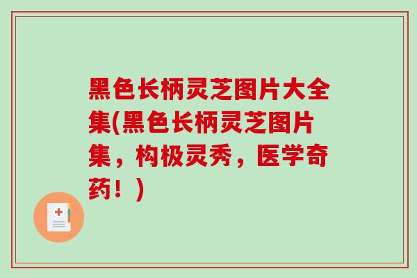 黑色长柄灵芝图片大全集(黑色长柄灵芝图片集,构极灵秀,医学奇药!) 黑色长柄灵芝图片大全集(黑色长柄灵芝图片集,构极灵秀,医学奇药!)