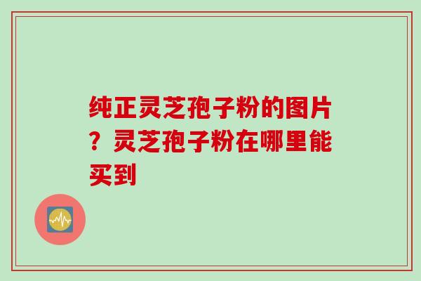 纯正灵芝孢子粉的图片？灵芝孢子粉在哪里能买到