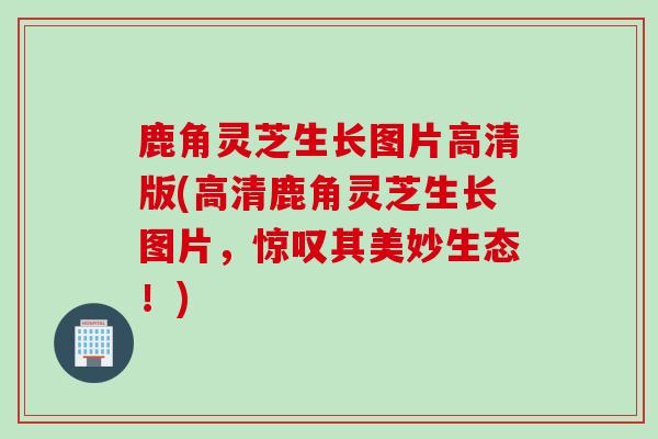 鹿角灵芝生长图片高清版(高清鹿角灵芝生长图片，惊叹其美妙生态！)