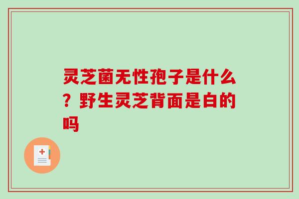 灵芝菌无性孢子是什么？野生灵芝背面是白的吗