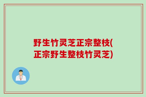 野生竹灵芝正宗整枝(正宗野生整枝竹灵芝)