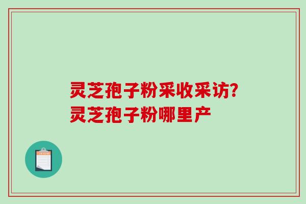 灵芝孢子粉采收采访？灵芝孢子粉哪里产