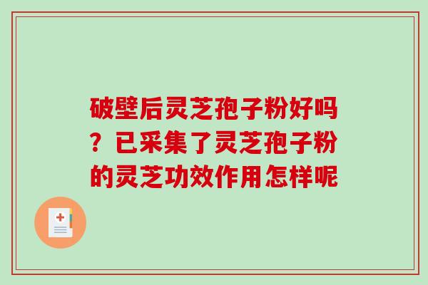 破壁后灵芝孢子粉好吗？已采集了灵芝孢子粉的灵芝功效作用怎样呢