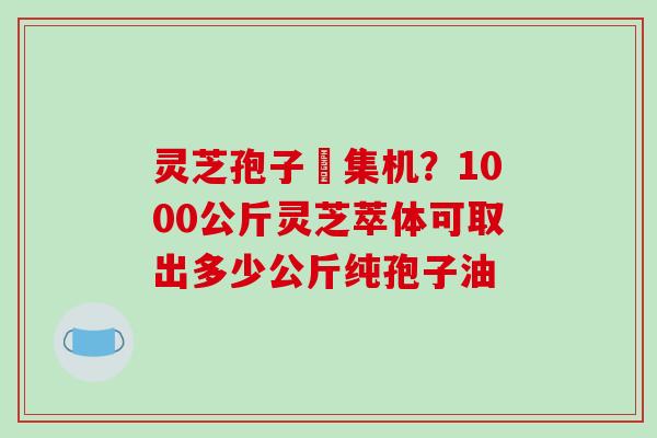 灵芝孢子釆集机？1000公斤灵芝萃体可取出多少公斤纯孢子油
