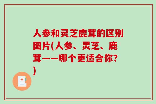 人参和灵芝鹿茸的区别图片(人参、灵芝、鹿茸——哪个更适合你？)