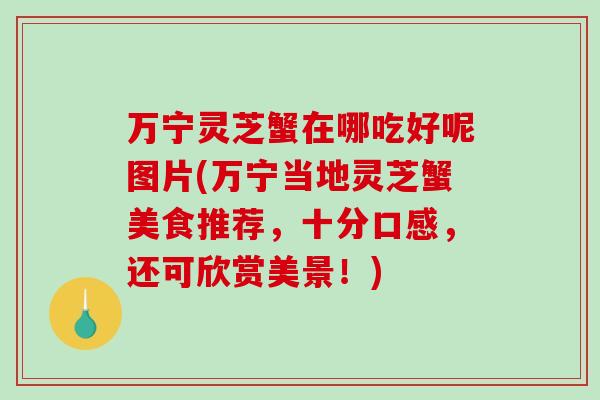万宁灵芝蟹在哪吃好呢图片(万宁当地灵芝蟹美食推荐，十分口感，还可欣赏美景！)
