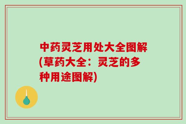 中药灵芝用处大全图解(草药大全：灵芝的多种用途图解)