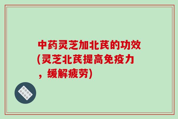 中药灵芝加北芪的功效(灵芝北芪提高免疫力，缓解疲劳)