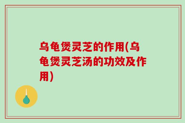乌龟煲灵芝的作用(乌龟煲灵芝汤的功效及作用)
