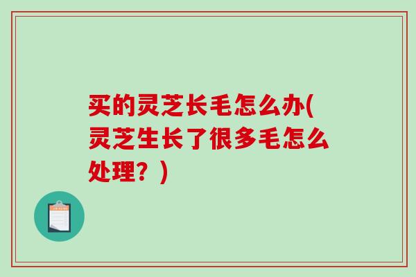 买的灵芝长毛怎么办(灵芝生长了很多毛怎么处理？)