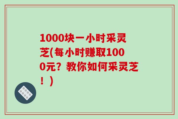 1000块一小时采灵芝(每小时赚取1000元？教你如何采灵芝！)