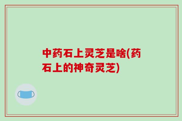 石上灵芝是啥(药石上的神奇灵芝) 石上灵芝是啥(药石上的神奇灵芝)