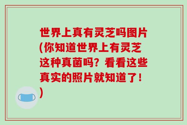 世界上真有灵芝吗图片(你知道世界上有灵芝这种真菌吗？看看这些真实的照片就知道了！)