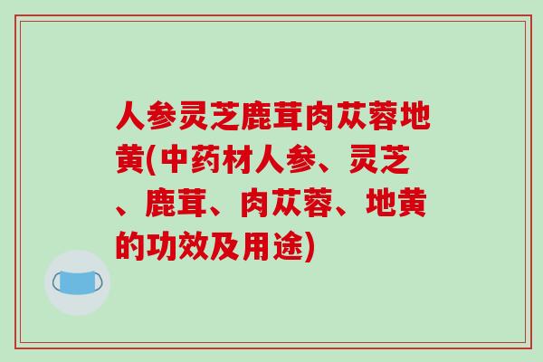 人参灵芝鹿茸肉苁蓉地黄(中药材人参、灵芝、鹿茸、肉苁蓉、地黄的功效及用途)