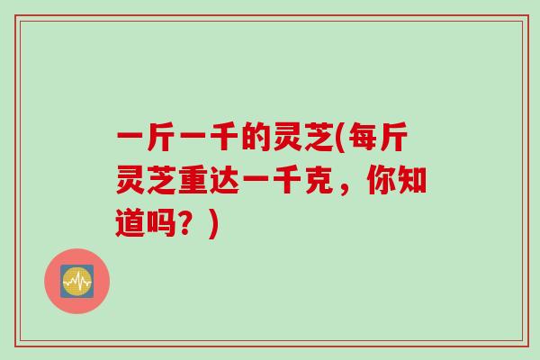 一斤一千的灵芝(每斤灵芝重达一千克,你知道吗?) 一斤一千的灵芝(每斤灵芝重达一千克,你知道吗?)
