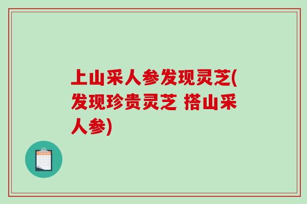 上山采人参发现灵芝(发现珍贵灵芝 搭山采人参)