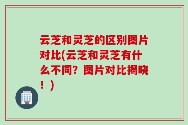 云芝和灵芝的区别图片对比(云芝和灵芝有什么不同？图片对比揭晓！)