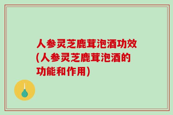 人参灵芝鹿茸泡酒功效(人参灵芝鹿茸泡酒的功能和作用)