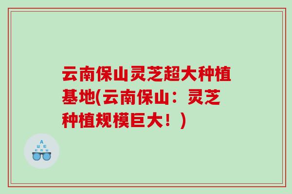 云南保山灵芝超大种植基地(云南保山：灵芝种植规模巨大！)
