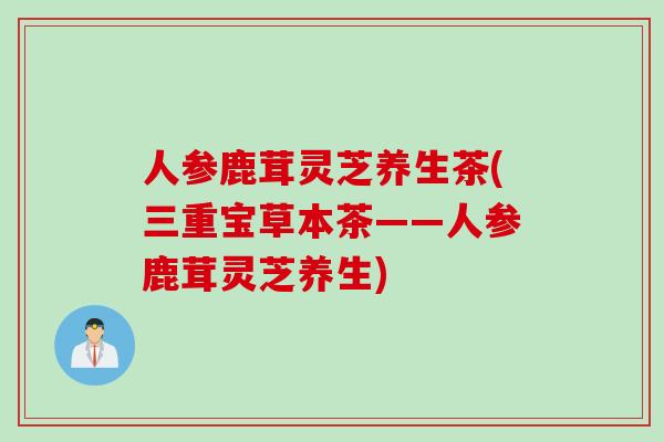 人参鹿茸灵芝养生茶(三重宝草本茶——人参鹿茸灵芝养生)