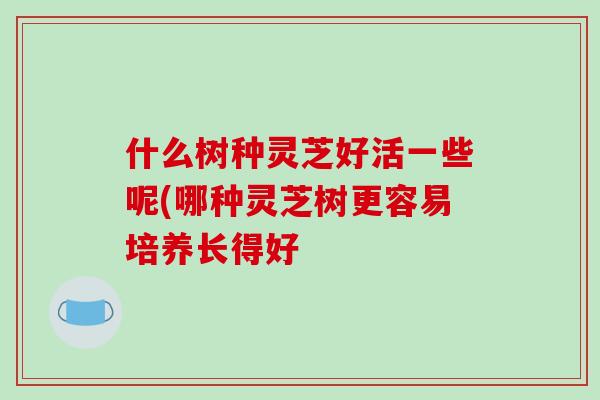 什么树种灵芝好活一些呢(哪种灵芝树更容易培养长得好 什么树种灵芝好活一些呢(哪种灵芝树更容易培养长得好