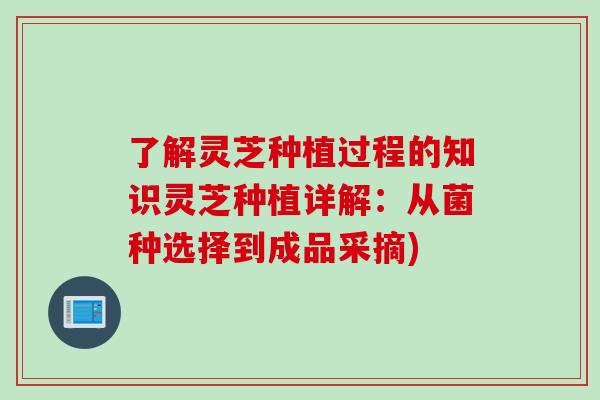 了解灵芝种植过程的知识灵芝种植详解：从菌种选择到成品采摘)