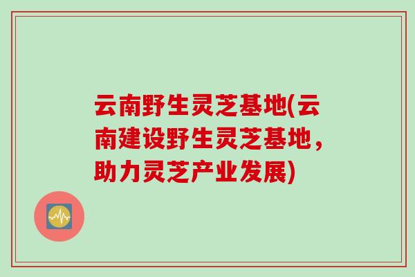 云南野生灵芝基地(云南建设野生灵芝基地，助力灵芝产业发展)