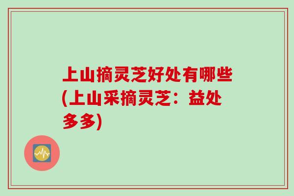 上山摘灵芝好处有哪些(上山采摘灵芝：益处多多)
