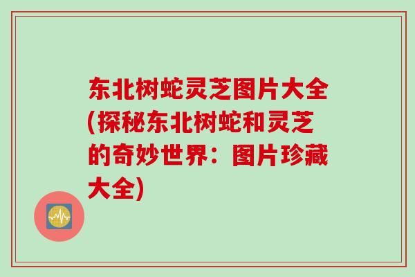 东北树蛇灵芝图片大全(探秘东北树蛇和灵芝的奇妙世界：图片珍藏大全)
