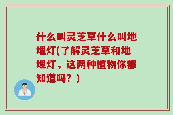 什么叫灵芝草什么叫地埋灯(了解灵芝草和地埋灯，这两种植物你都知道吗？)