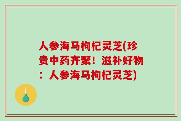 人参海马枸杞灵芝(珍贵中药齐聚！滋补好物：人参海马枸杞灵芝)