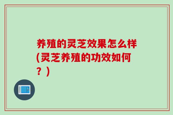 养殖的灵芝效果怎么样(灵芝养殖的功效如何？)